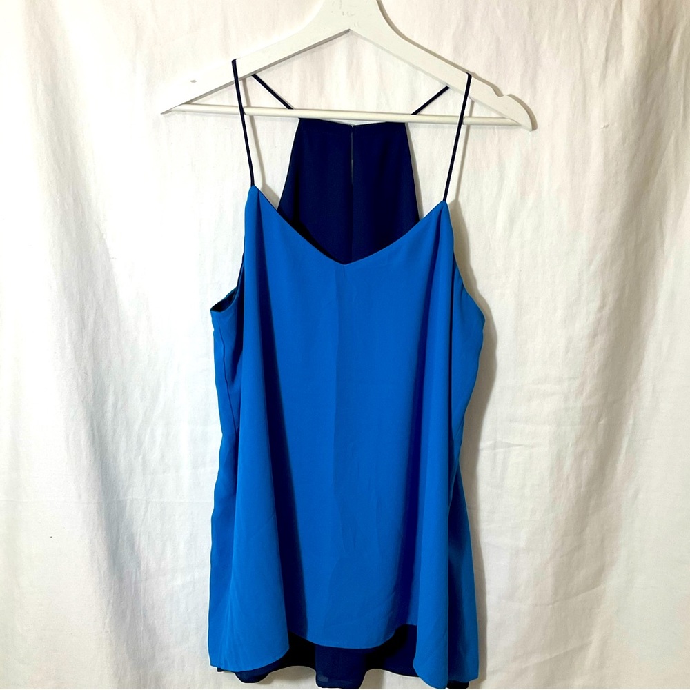 Express Blue Reversible Tank